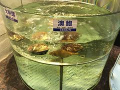 -新海利海鲜城·41年珠海老字号(夏湾店)