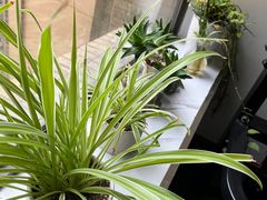 -悦耐私教健身馆(保利中心店)