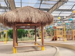 -南宫五洲植物乐园