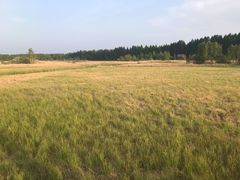 -塞罕坝国家级自然保护区