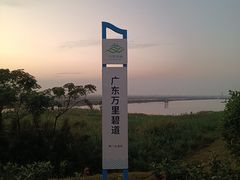 -大湾区中央湿地公园-十九涌