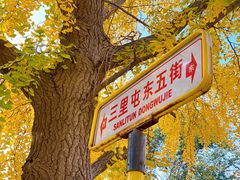 -三里屯东五街银杏大道