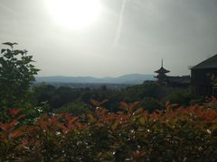 -炸牛排 京都胜牛(京都站前店)