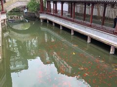 -龙潭水乡