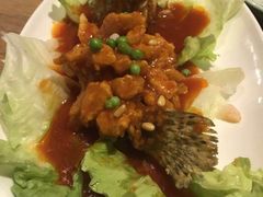 -新白鹿餐厅(城西银泰城店)