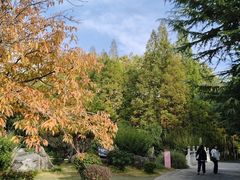 -洛阳市隋唐城遗址植物园