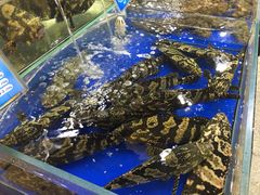 -东江海鲜酒家(艺都分店)