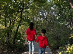 -沈阳辉山风景区