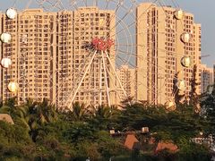 -万绿园