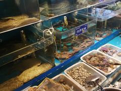 水产区-粥全粥到海鲜家常菜·海肠捞饭(嫩江路店)