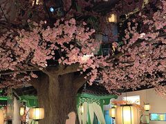 -荷塘秋月·本帮江浙菜(国权路店)