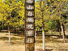 -北京西山国家森林公园