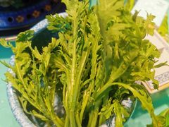 茼蒿-曲氏老北京涮肉(摩尔店)