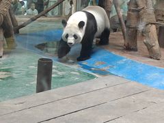 -成都动物园