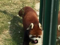 -泉州海丝野生动物世界