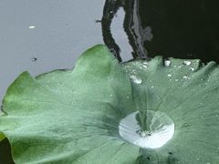 -长广溪湿地公园