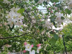 -长春市南湖公园