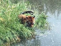 -新疆天山野生动物园