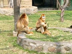 -西安秦岭野生动物园