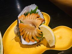 活赤貝刺身-鲤·鮨KOISUSHI