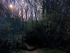 -艾溪湖湿地公园