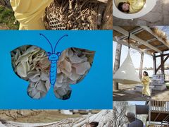 -安德鲁户外烧烤帐篷营地(马泉营店)