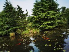 -白马涧龙池景区