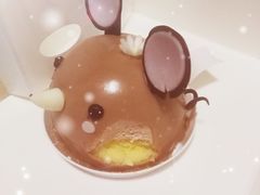 -蒲公英(五里店)