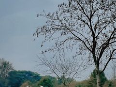 -良渚文化村