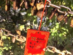 -南翠屏公园