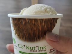 -Co+Nut+Ink(圣淘沙店)