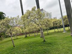 -东风公园