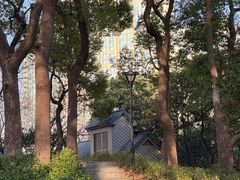 -徐家汇源景区-衡山公园