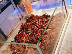 -一方渔歌蒸汽海鲜自助(文化路万达广场店)