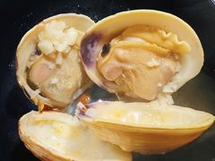 -拾下卜卜贝•海鲜火锅