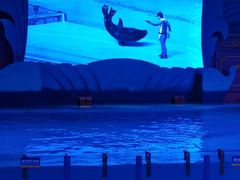 -横店影视城梦幻谷园区