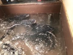 -上名堂·鱼头好吃(体育场路店)