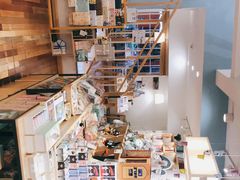 零售区-猫的天空之城概念书店(束河店)