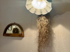 -Ginko银子(青龙街店)