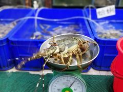 -QQ海鲜餐厅