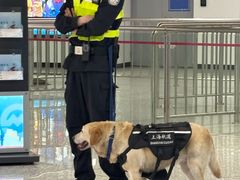 -东方体育中心(地铁站)