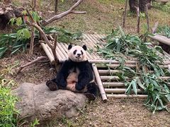 -南宁市动物园