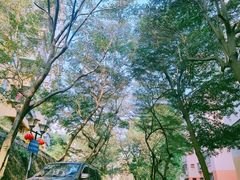 -小南山公园