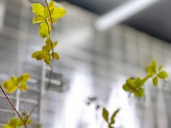 -M Stand(BFC外滩金融中心店)