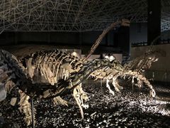 -世界恐龙谷景区