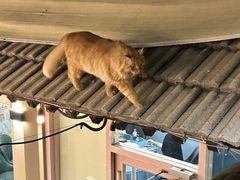 -后海16号·北京私房菜