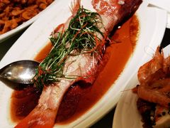 蒸红斑鱼-厦门宝龙铂尔曼大酒店·龙之渊中餐厅