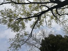 -东湖生态旅游风景区