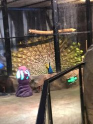 -酷嗒动物文化乐园(cutezoo西溪乐天城店)