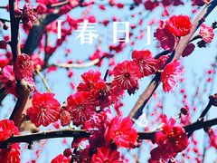 -静安雕塑公园